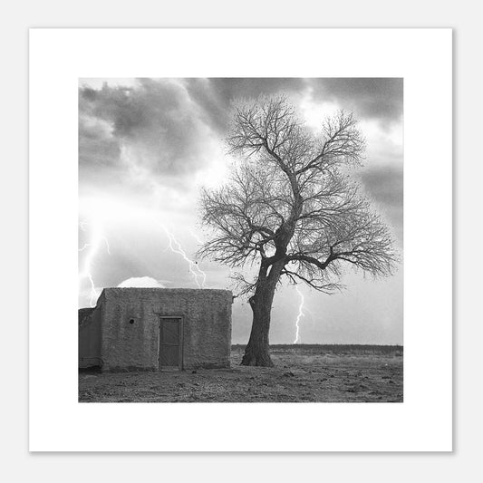 c5d2b863-eaff-4d40-a4cb-be5bc7986b31